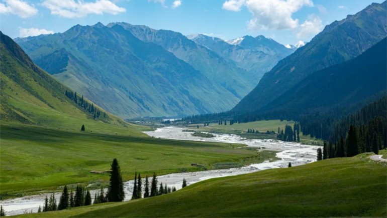 公司治理獲高度認(rèn)可！奇正藏藥入選中上協(xié)“最佳實(shí)踐案例”